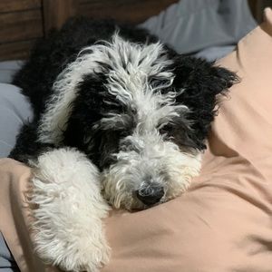 Meet your Posher, Jenn